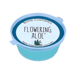 Flowering Aloe Mini Melt